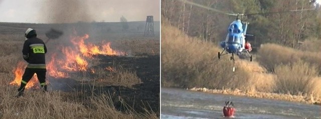 Dzikie łąki i trzcinowiska na Wielimskich Bagnach są siedliskiem niezliczonej ilości ptactwa. Dziś ogień stłumił ich żywot.