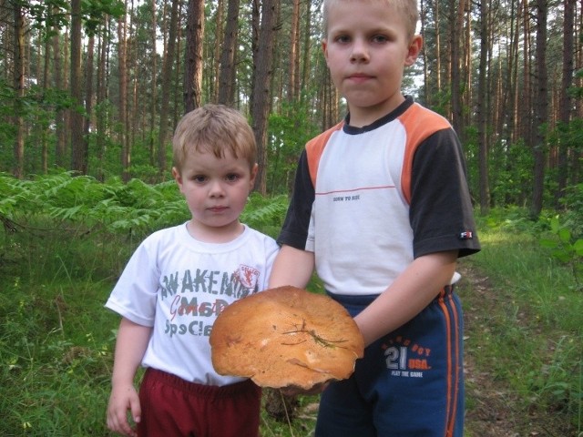 Gdy Karol i Bartek wraz z mamą zobaczyli ten piękny okaz, dech ich zaparło w piersiach