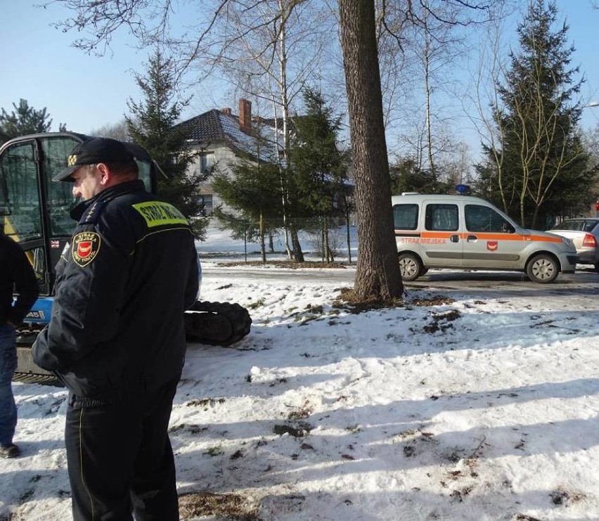 Nowy Tomyśl: Kolejne ognisko ptasiej grypy w Wielkopolsce