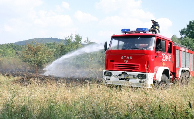 Pożar nieużytków w Sobótce, zdjęcie ilustracyjne 