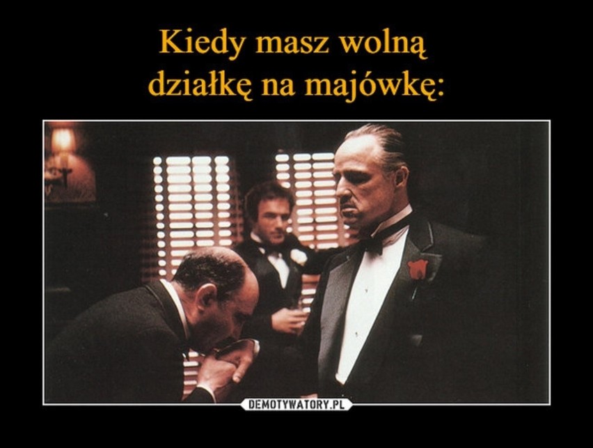 Memy o modzie na ogródki działkowe