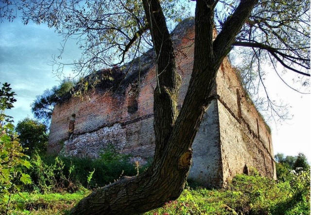 Zamek w Kryłowie.