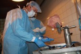 W Głuchołazach szkolą ortopedów na ludzkich preparatach