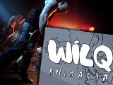 The Analogs stworzy muzykę do filmu "Wilq Superbohater" [wideo]