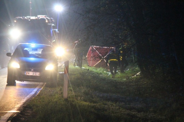 Do wypadku na drodze wojewódzkiej nr 444 w Sulmierzycach (pow. krotoszyński) doszło w poniedziałek wieczorem. Nie żyje 52-letnia rowerzystka.