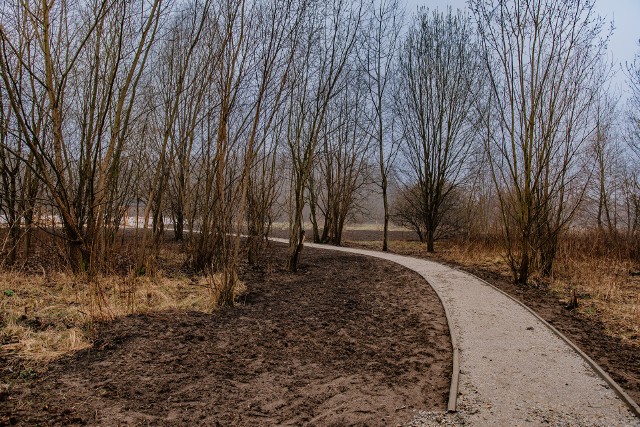 Park im. Pileckiego na Złotnie zachowa "dziki" charakter.