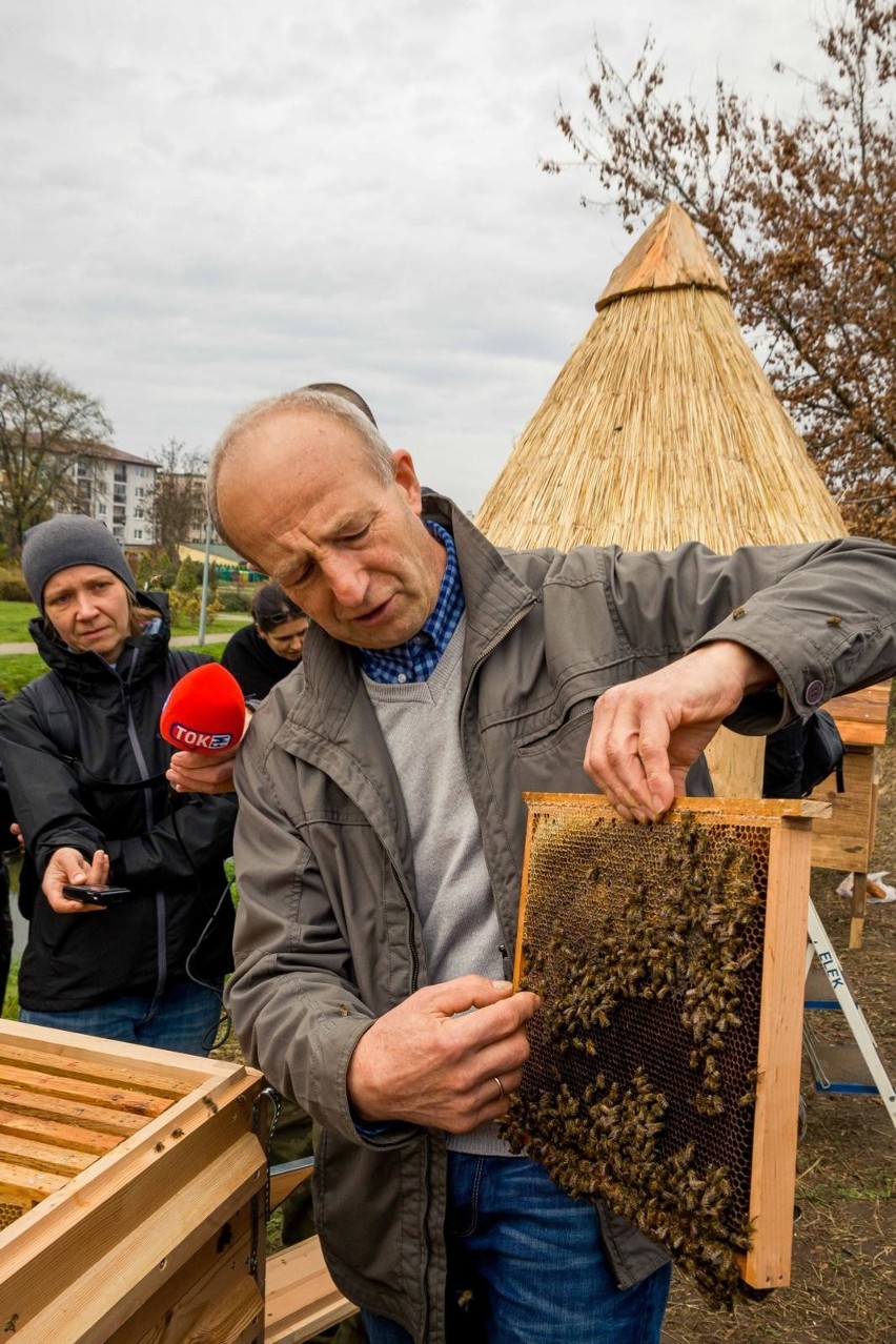 Białystok znalazł się w pierwszej dziesiątce gmin przyjaznym...