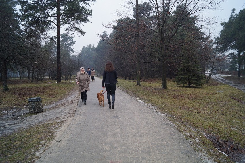 Olkusz. Zapuszczona „Dolinka” będzie pięknym parkiem [WIDEO, ZDJĘCIA]