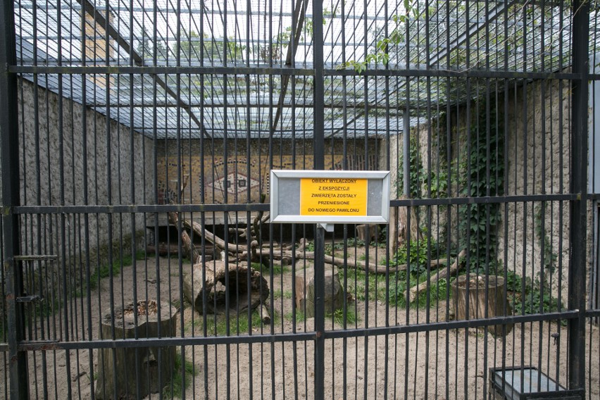 Zoo w Krakowie. Jaguary i lwy mają swój pawilon [ZDJĘCIA]