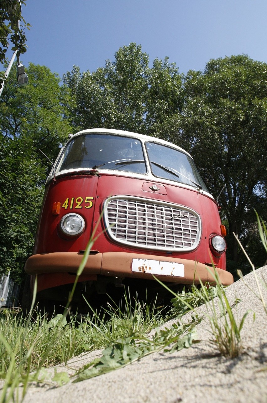 Autobus Jelcz 043, nazywany ogórkiem, produkowany był w...