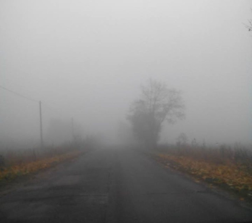 Mgła. Droga Dobrzyniówkę.