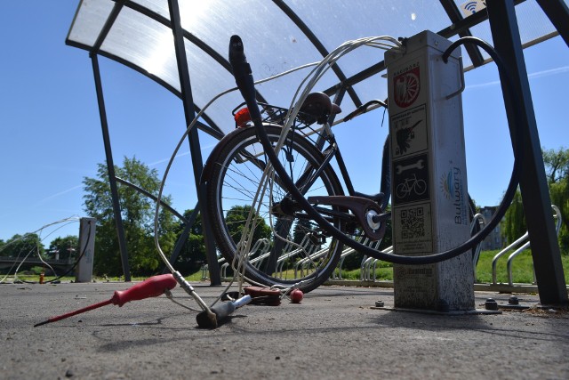 Wandale upodobali sobie plażę miejską w Raciborzu