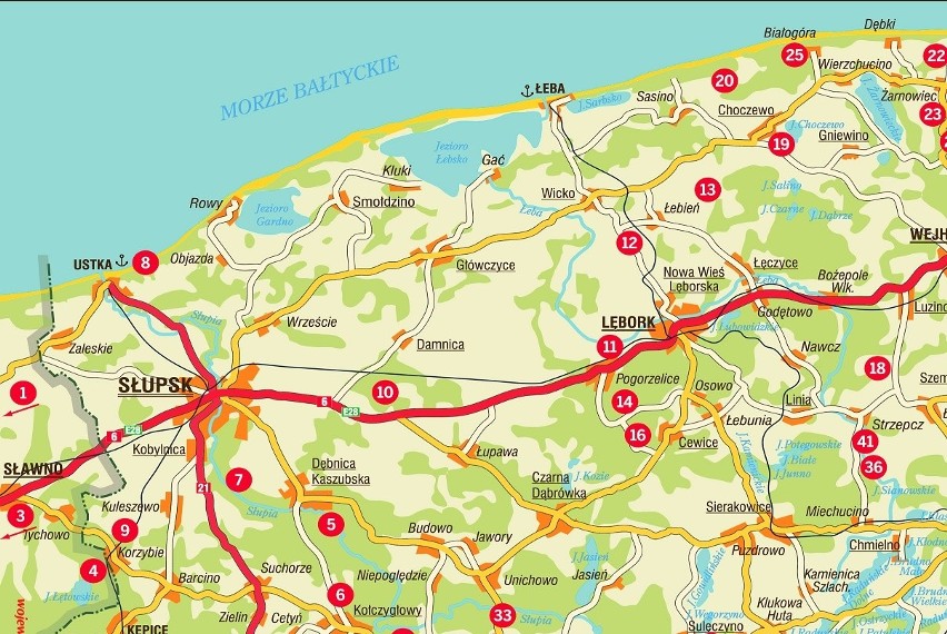 GRZYBY 2020 MAPA. Gdzie są grzyby w lasach woj. pomorskiego?