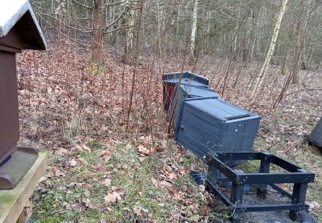 Czasem mocno dociążony ul i tak się przewróci, bo teren pod nim stanie się za grząski.