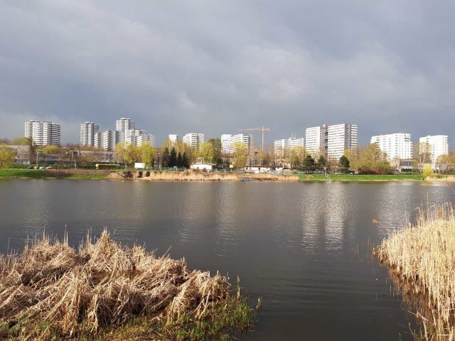 Staw Maroko na osiedlu Tysiąclecia