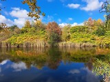 Żabie Doły jesienią 2022 wyglądają  przepięknie! Warto wybrać się tu na spacer. To także idealne miejsce na rower, bieganie czy łowienie ryb