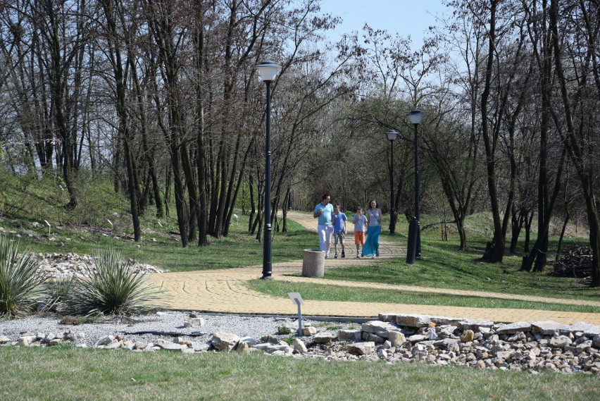 Śląski Ogród Botaniczny. Międzynarodowy Dzień Ptaków