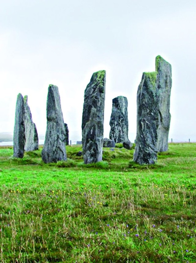 Nie tylko Stonehenge. Średnica kromlechów to średnio 25 metrów. Największy z dotąd odkrytych, w Avebury (Wlk. Brytania) - 400
