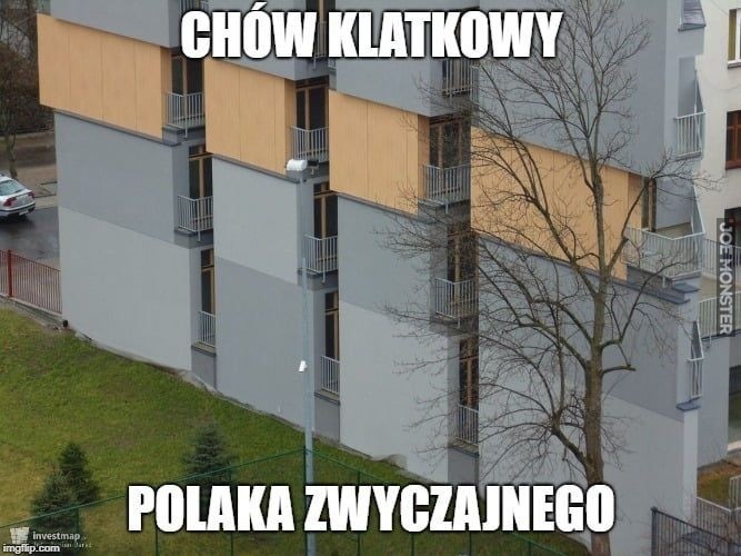 Deweloper płakał jak sprzedawał! Oto najlepsze MEMY o...