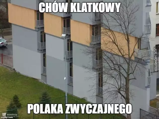 Deweloper płakał jak sprzedawał! Oto najlepsze MEMY o patodeweloperce!