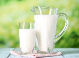 Ile kosztuje dziś mleko prosto od krowy, twaróg, jogurt i jajka od szczęśliwych kur? Poznaj ceny produktów bezpośrednio od rolnika