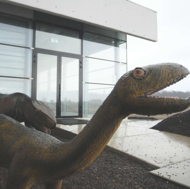 Badacze z Instytutu Paleobiologii PAN w Warszawie odkryli w Krasiejowie warstwę skalną przepełnioną szkieletami wielkich płazów i gadów, a wśród nich dinozaurów.
