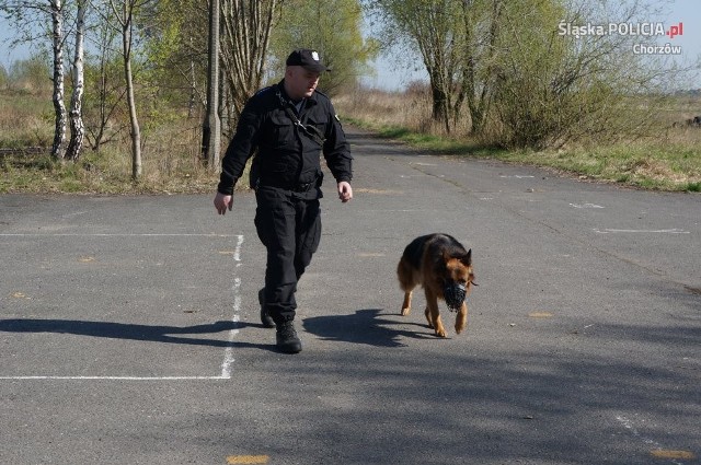 Nie każdy pies nadaje się do policji