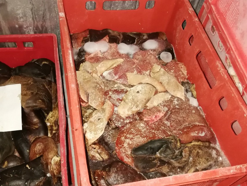 Takie mięso znaleziono w zakładzie mięsnym przy ulicy...