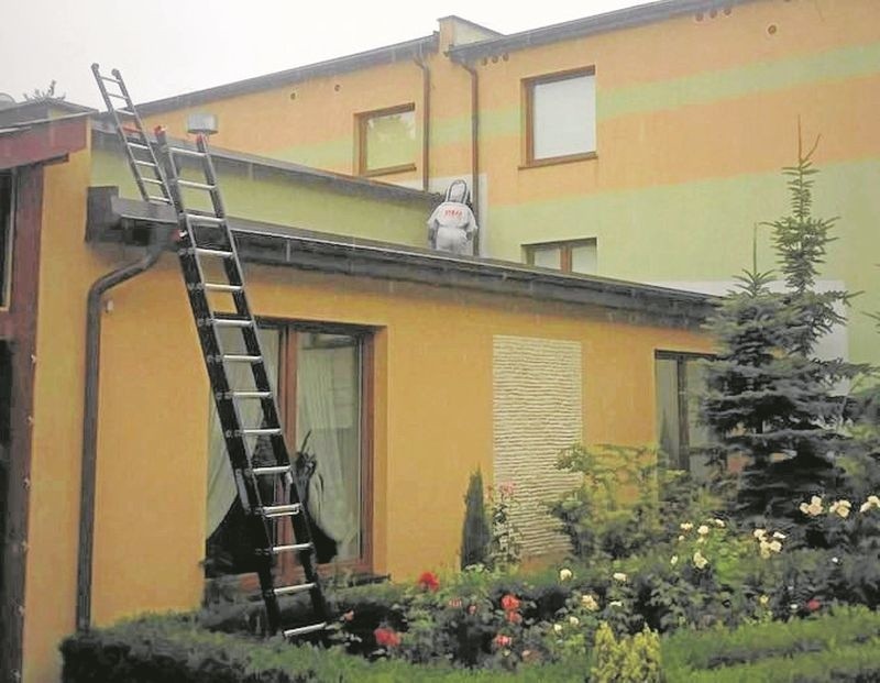 Tym razem owady zagnieździły się w ociepleniu hotelu przy...