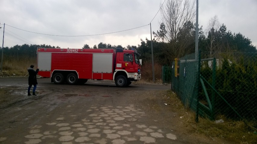 Do pożary na wysypisku śmieci w Chróściku niedaleko Gorzowa...