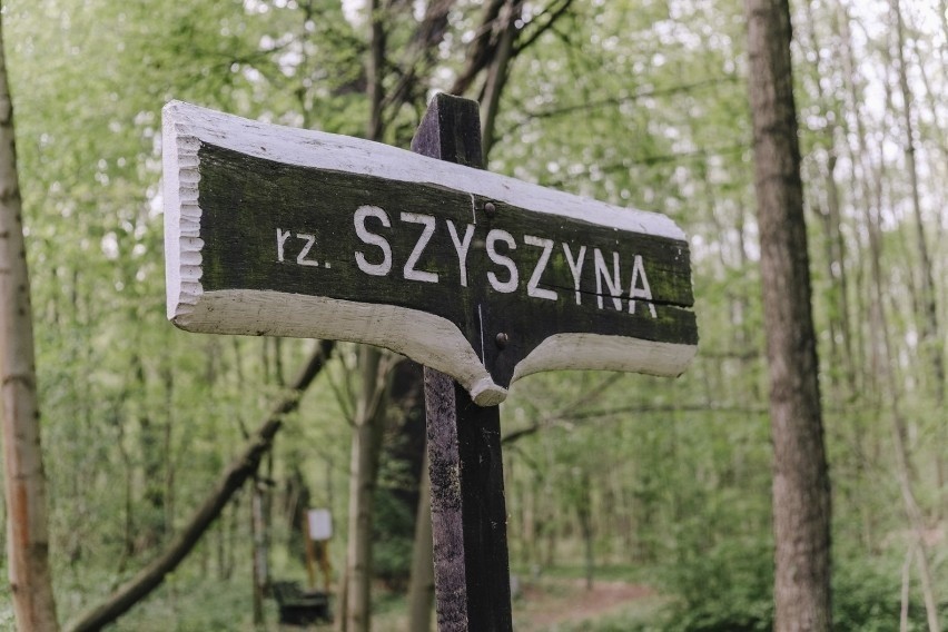 Dolina Szyszyny jest blisko Żar. Warto wybrać się tutaj na...