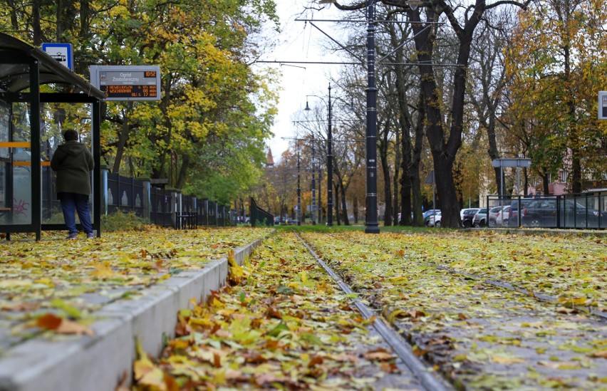 Liście na torze na ulicy Bydgoskiej