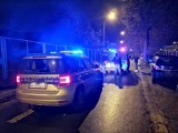 Nocna akcja policji koło starej Kapłanówki w Tarnowie. Cztery młode osoby zatrzymane, w tym poszukiwana. Niszczyli zaparkowane auta