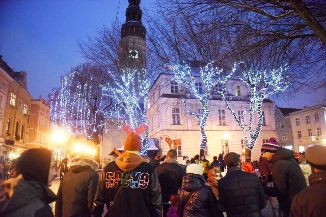 Przygotowujemy się do świąt. Miasto oficjalnie opaliło już świąteczne ozdoby, magiczny ogród państwa Perzyńskich w Zielonej Górze także już cieszy oczy przechodniów. W domach trwa sprzątanie, w sklepach... gorączka zakupów.