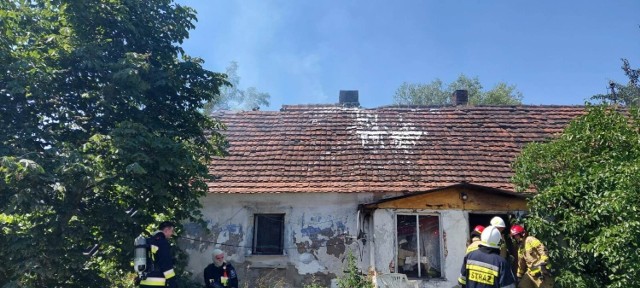 Do pożaru doszło w budynku jednorodzinnym w miejscowości Sośniczka w gminie DobrzycaPrzejdź dalej -->