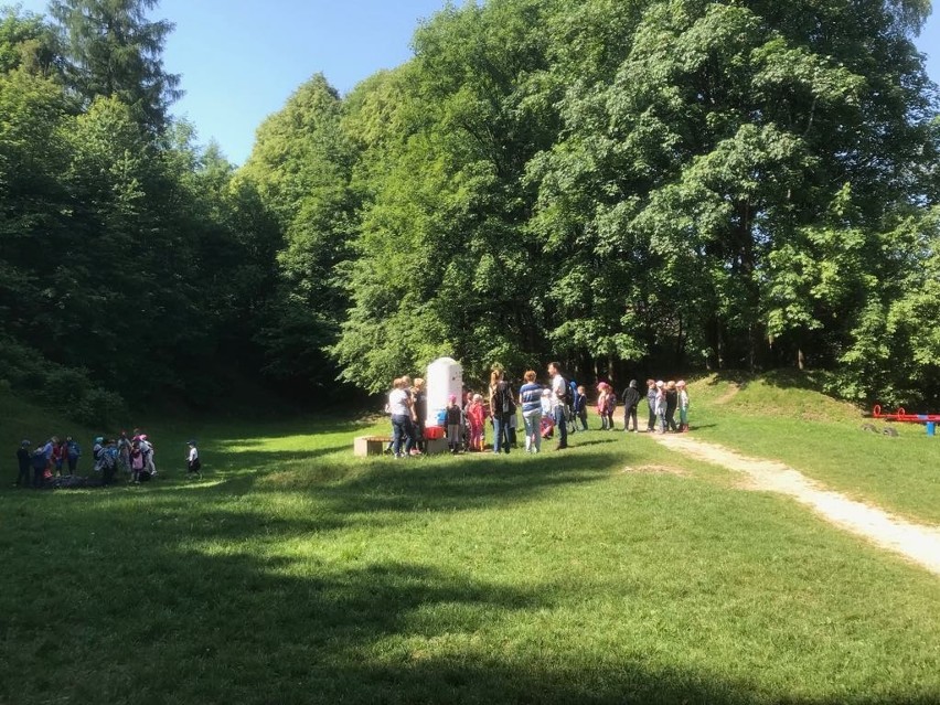 Miejskie enklawy zieleni – tworzone dla mieszkańców i z mieszkańcami