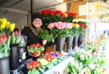 Ratusz chce poprawić wygląd miejsca handlu kwiatami przy Krakowskim Przedmieściu