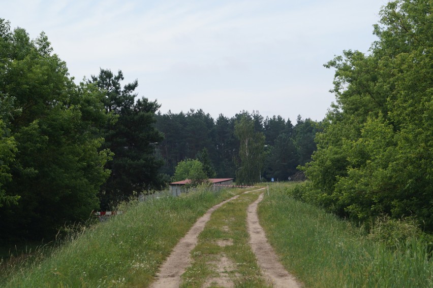 Ostrołęka. Ile będzie kosztowała odbudowa przerwanego w trakcie ostatniej ulewy wału przeciwpowodziowego? Prezydent podał kwotę