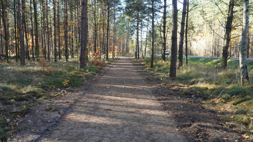 Gmina Żarki oddała kolejną malowniczą ścieżkę rowerową. To już blisko 30 km tras do atrakcji tej gminy i malowniczej Jury.