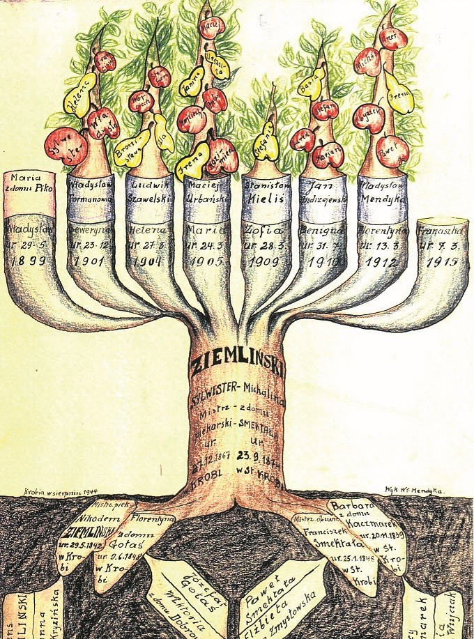 Drzewo genealogiczne rodziny Ziemlińskich narysowane 70 lat...