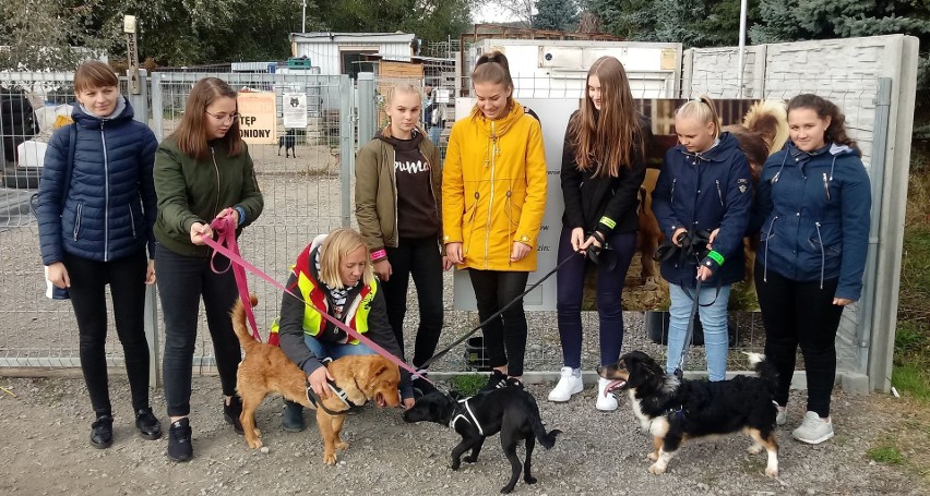 Wolontariusze z Ujazdu pomagają bezdomnym zwierzętom z „Przytuliska na Wiśniowej” w Sandomierzu [ZDJĘCIA]