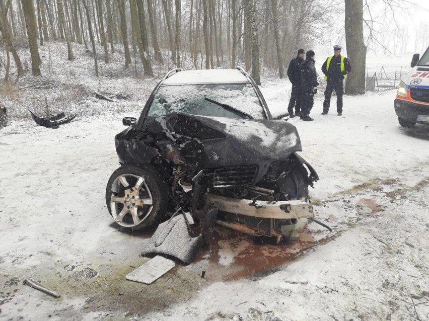 Wypadek w Starzynie 20.03.2018. 27-latka z gminy Puck uderzyła w drzewo. Trafiła do szpitala w Wejherowie [zdjęcia]