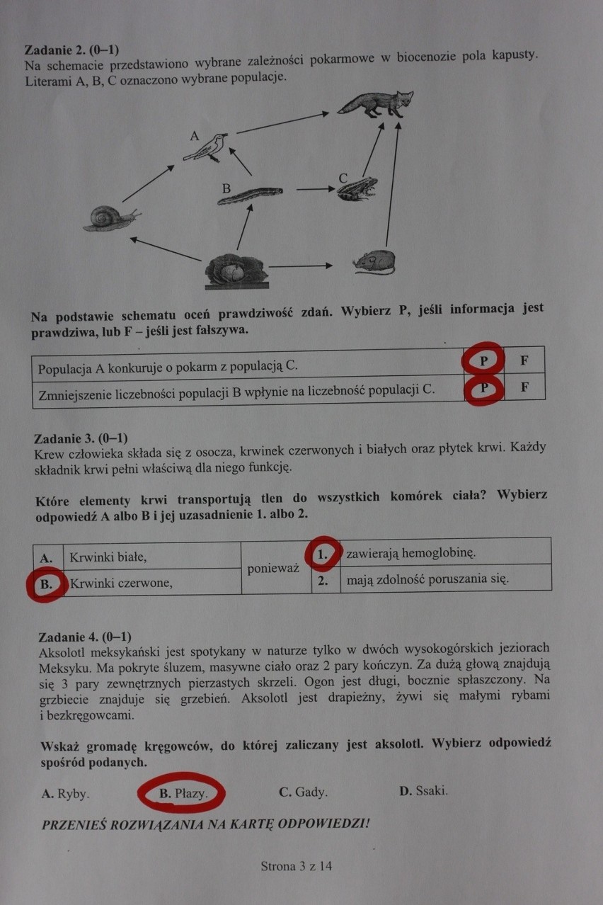 Egzamin gimnazjalny 2013: część matematyczno-przyrodnicza [ODPOWIEDZI, WYNIKI]