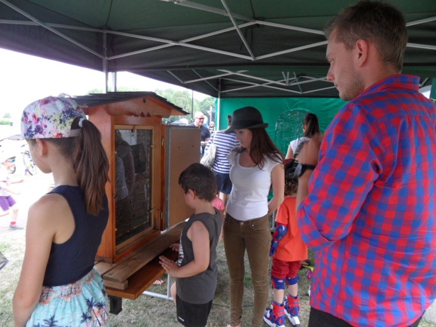 Leśny Piknik Rodzinny Ekoodpowiedzialnie 2015 w Katowicach