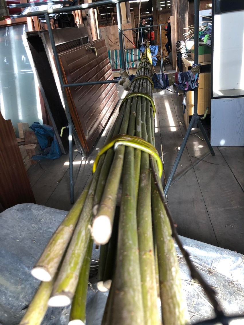 Mateusz Leszczyński z Lipnicy Dolnej kończy budować wyjątkową palmę. 18 metrów żywej tradycji z wikliny i kwiatów z bibuły [ZDJECIA]
