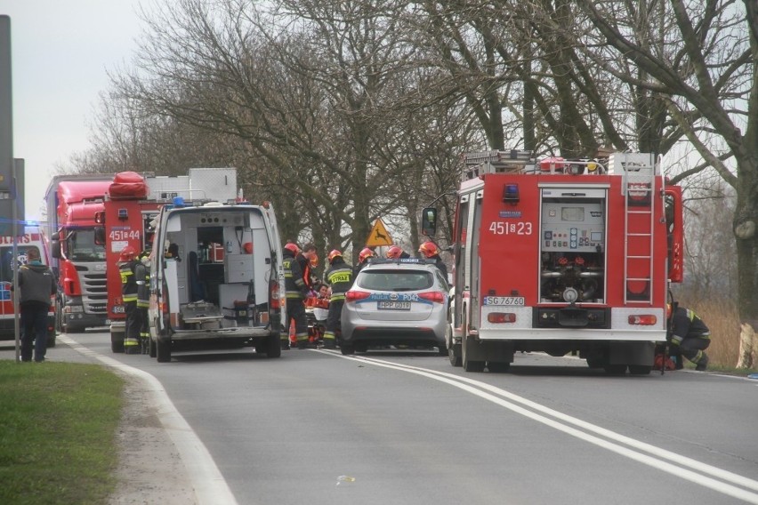 Wypadek w Gliwicach na DK 78 w stronę Knurowa. Dwie osoby ranne. Samochód wjechał w drzewo