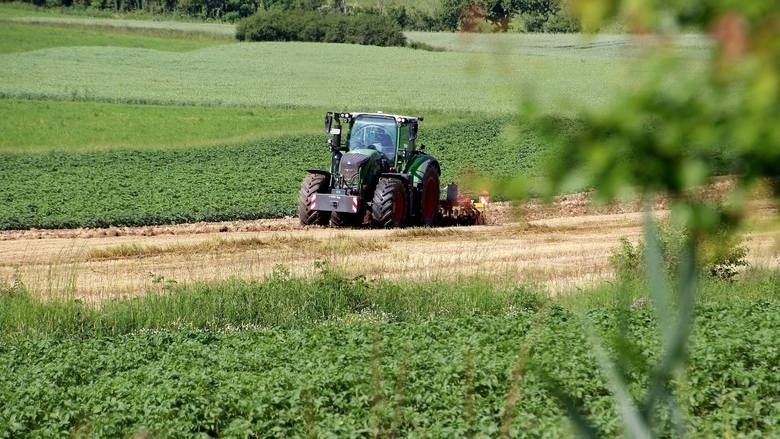 Ceny ziemi rolnej w Podlaskiem bardziej stabilne. Są jednak zaskakujące transakcje