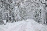 Uwaga, nad Polskę nadchodzi niż Brygida. Przewidziane są śnieżyce, w niektórych miejscach spadnie 20 cm śniegu