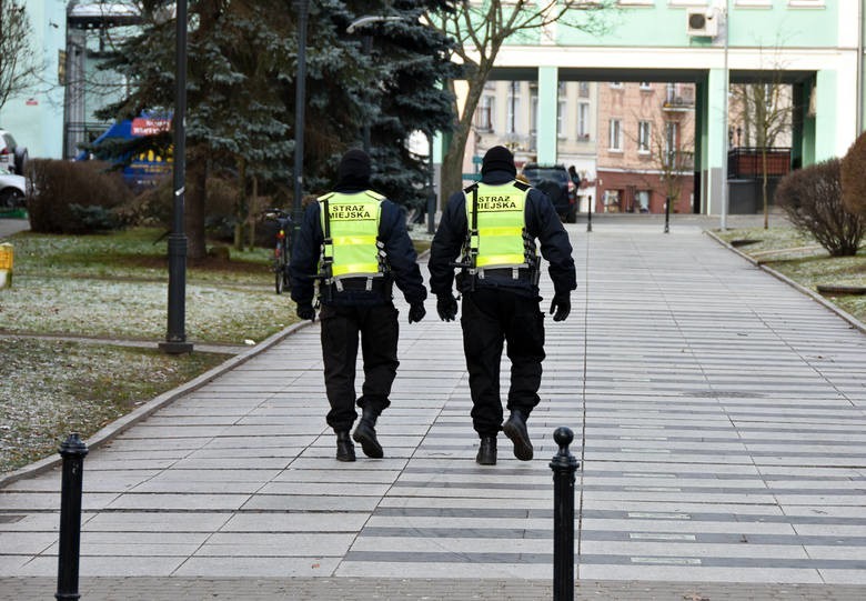 Zimowy Ratownik 2019. Straż Miejska sprawdza pustostany,...