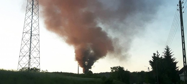 Pożar składowiska opon w Radowicach koło Sulechowa wybuchł w piątek, 26 maja, wieczorem